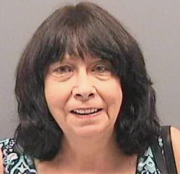 Mcelroy Karen - Hillsborough County, FL 