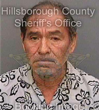 Delatorremorales Jesus - Hillsborough County, FL 