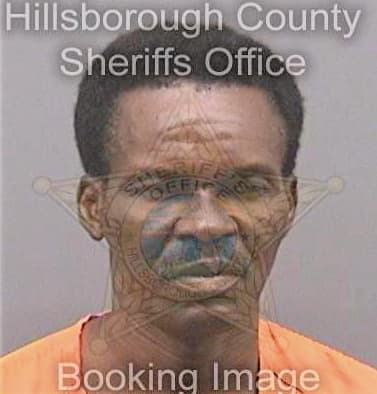 Desir Julien - Hillsborough County, FL 