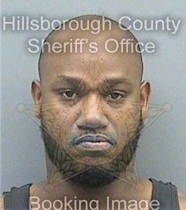 Jimmerson Deuntae - Hillsborough County, FL 