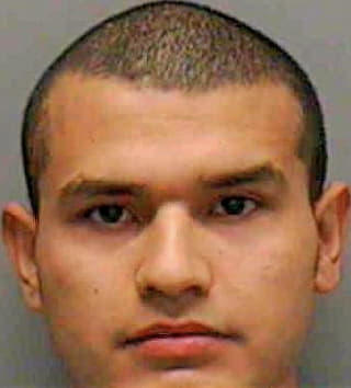 Suarez David - Lee County, FL 