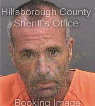 Nedley Robert - Hillsborough County, FL 