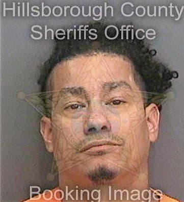 Vegarodriguez Antonio - Hillsborough County, FL 