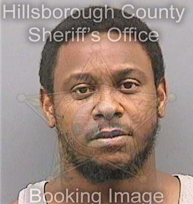 Howard Michael - Hillsborough County, FL 