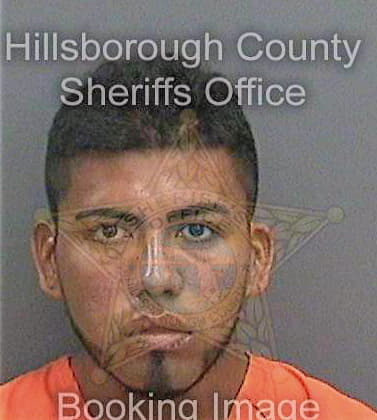 Velasquezalvarado Wilson - Hillsborough County, FL 