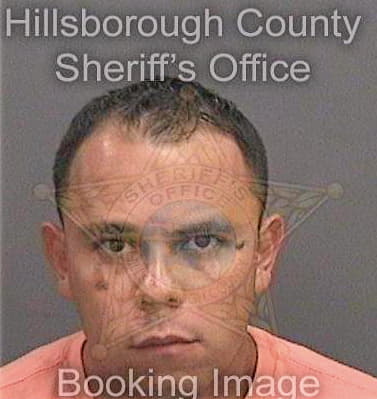 Martinezblandon Darwin - Hillsborough County, FL 