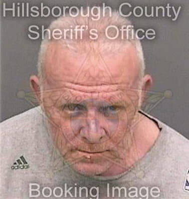 Mcisaac Michael - Hillsborough County, FL 