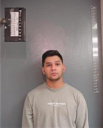 Hernandez Randy - Brazos County, TX 