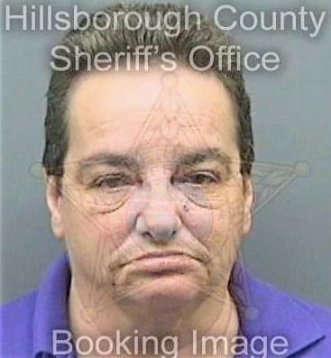 Mckinney Dana - Hillsborough County, FL 