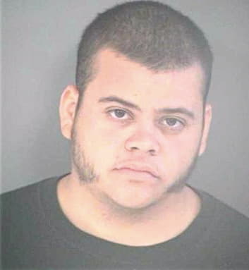 Mendoza Lucas - Hillsborough County, FL 