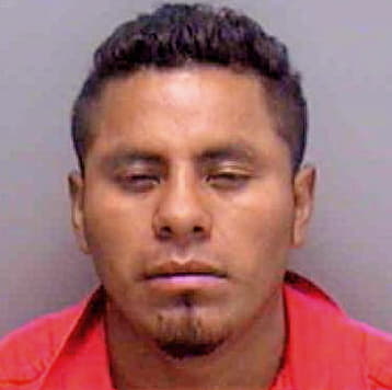 Gomez Silvano - Lee County, FL 