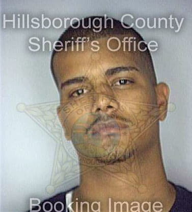 Rivera Daniel - Hillsborough County, FL 