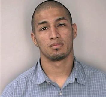 Silva Nicholas - Hillsborough County, FL 