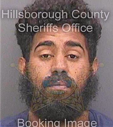 Olivavaldes Jorge - Hillsborough County, FL 