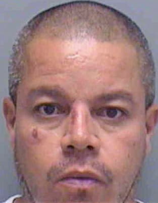 Vega Hector - Lee County, FL 