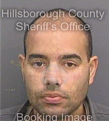 Cintron Michael - Hillsborough County, FL 