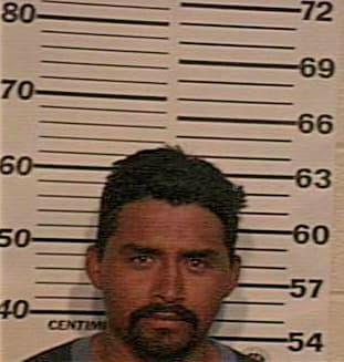 Gonzalez Gerardo - Hidalgo County, TX 