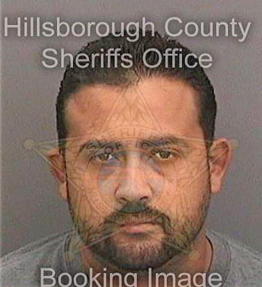 Reyesdelgado Joe - Hillsborough County, FL 