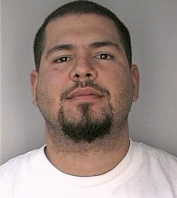 Melendez Carlos - Hillsborough County, FL 