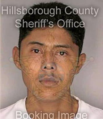 Garcia Aaron - Hillsborough County, FL 