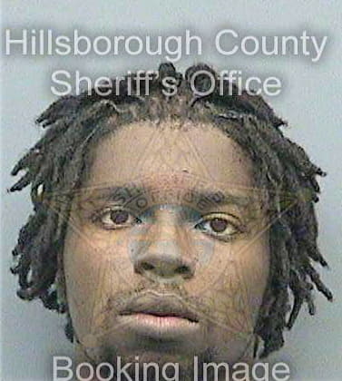 Thompson Craig - Hillsborough County, FL 