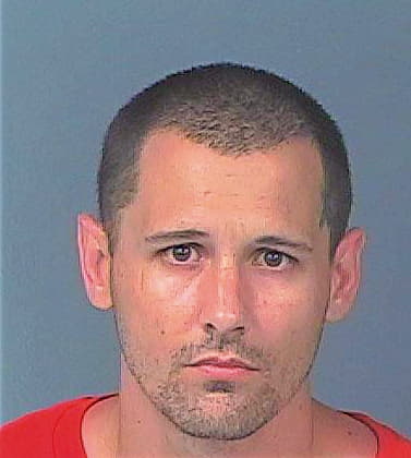 Pittman David - Hernando County, FL 