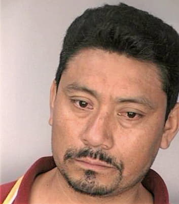 Miguel Manuel - Hillsborough County, FL 