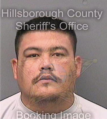 Sierra Domingo - Hillsborough County, FL 