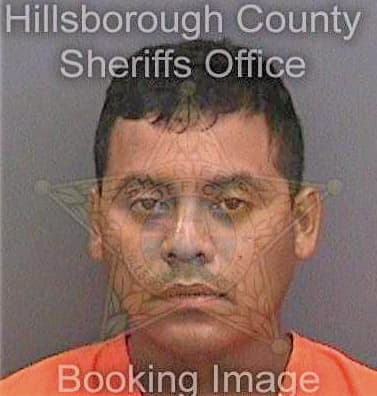 Martinez-Saldana Luis - Hillsborough County, FL 