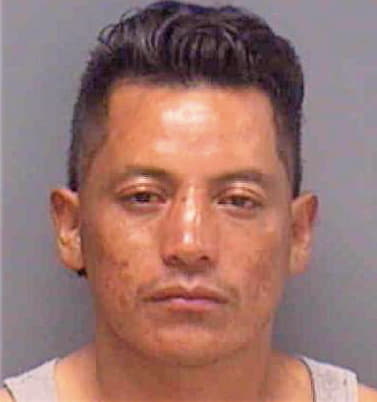 Jose Martin - Lee County, FL 