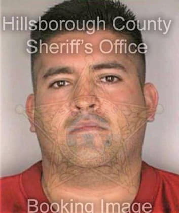 Felipe Michael - Hillsborough County, FL 