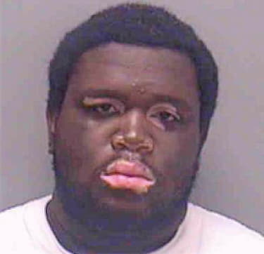 Smith Ryan - Lee County, FL 