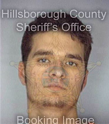 Metcalf Andrew - Hillsborough County, FL 