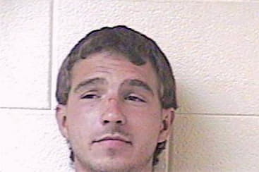 Mclean David - Montgomery County, KY 