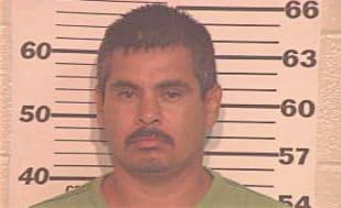 Hernandez Hugo - Hidalgo County, TX 