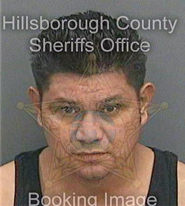 Looltun Rolando - Hillsborough County, FL 