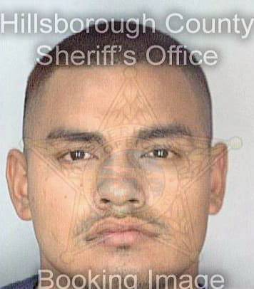 Martinez Aurelio - Hillsborough County, FL 