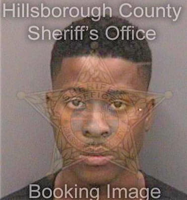 Howard Eric - Hillsborough County, FL 