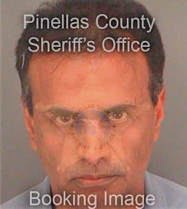 Singh Gunjan - Pinellas County, FL 