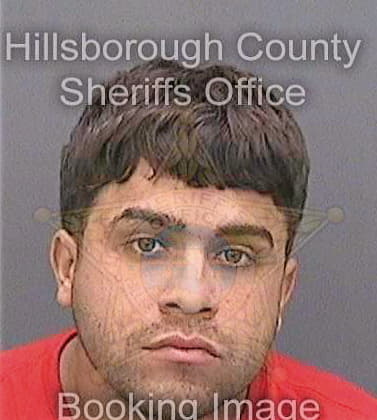 Medinavazquez Jonathan - Hillsborough County, FL 