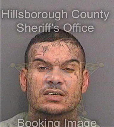 Egido Sergio - Hillsborough County, FL 