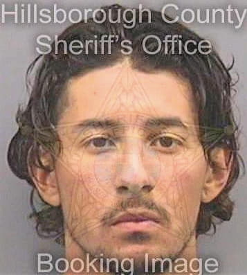 Perezregalado Jose - Hillsborough County, FL 