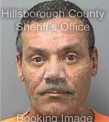 Hernandez Balbino - Hillsborough County, FL 
