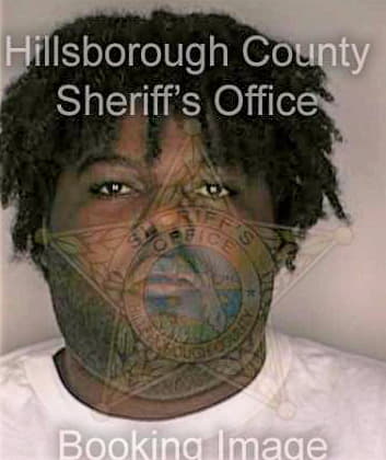 Tillman Perry - Hillsborough County, FL 