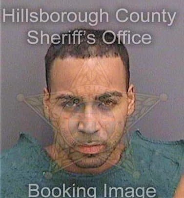 Liriano David - Hillsborough County, FL 