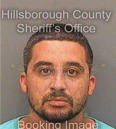 Velez Abraham - Hillsborough County, FL 