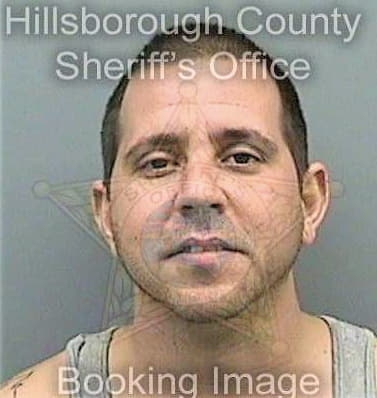 Peluso Louis - Hillsborough County, FL 