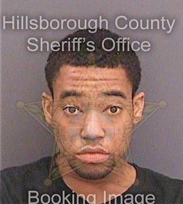 Ferguson Phillip - Hillsborough County, FL 