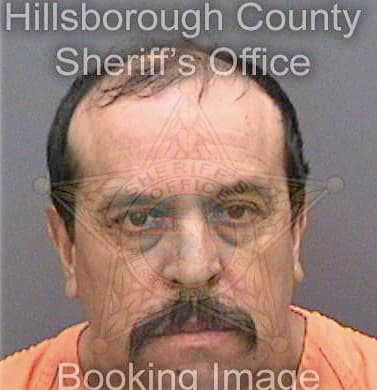 Martinez Antonio - Hillsborough County, FL 