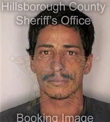 Fragoso Jesus - Hillsborough County, FL 